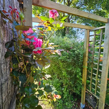 Апартаменты Alte Schule - 1 *