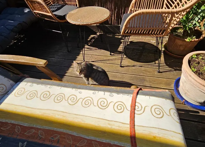 Apartamento Alte Schule - 1