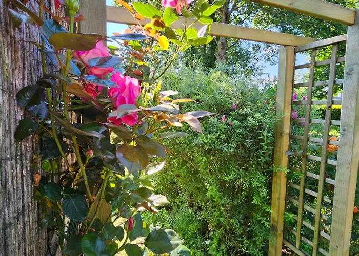 Apartamento Alte Schule - 1 *